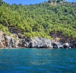 Туры в Аланию 2025 - цены на путевки в Турцию из Москвы от туроператора Tez Tour