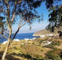 Туры в Дидим 2025 - цены на путевки в Турцию из Москвы от туроператора Tez Tour