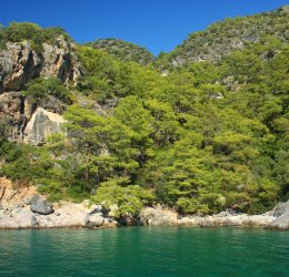 Туры в Фетхие 2025 - цены на путевки в Турцию из Москвы от туроператора Tez Tour