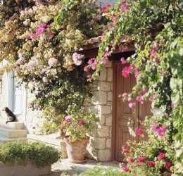 Туры в Чешме 2025 - цены на путевки в Турцию из Москвы от туроператора Tez Tour Туры в Чешме 2025 - цены на путевки в Турцию из Москвы от туроператора Tez Tour