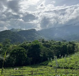 Туры в Берувелу 2025 - цены на путевки в Шри-Ланку из Москвы от туроператора Tez Tour Туры в Берувелу 2025 - цены на путевки в Шри-Ланку из Москвы от туроператора Tez Tour