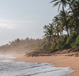 Туры в Берувелу 2025 - цены на путевки в Шри-Ланку из Москвы от туроператора Tez Tour Туры в Берувелу 2025 - цены на путевки в Шри-Ланку из Москвы от туроператора Tez Tour