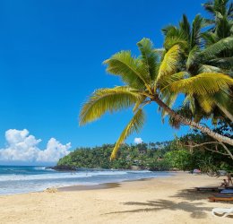 Туры в Берувелу 2025 - цены на путевки в Шри-Ланку из Москвы от туроператора Tez Tour Туры в Берувелу 2025 - цены на путевки в Шри-Ланку из Москвы от туроператора Tez Tour