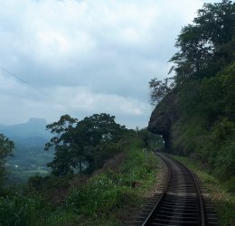 Туры в Коггалу 2025 - цены на путевки в Шри-Ланку из Москвы от туроператора Tez Tour