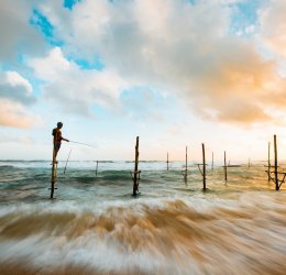 Туры в Хиккадуву 2025 - цены на путевки в Шри-Ланку из Москвы от туроператора Tez Tour