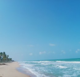 Туры в Канди 2025 - цены на путевки в Шри-Ланку из Москвы от туроператора Tez Tour