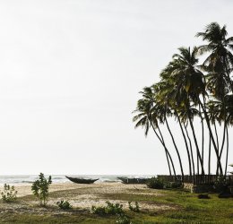 Туры в Канди 2025 - цены на путевки в Шри-Ланку из Москвы от туроператора Tez Tour