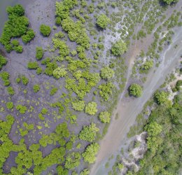 Туры в Канди 2025 - цены на путевки в Шри-Ланку из Москвы от туроператора Tez Tour