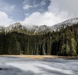 Туры в Албену 2025 - цены на путевки в Болгарию из Москвы от туроператора Tez Tour Туры в Албену 2025 - цены на путевки в Болгарию из Москвы от туроператора Tez Tour