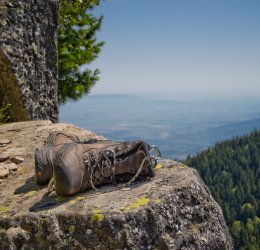 Туры в Елените 2025 - цены на путевки в Болгарию из Москвы от туроператора Tez Tour