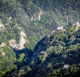 Туры в Дюни 2025 - цены на путевки в Болгарию из Москвы от туроператора Tez Tour Туры в Дюни 2025 - цены на путевки в Болгарию из Москвы от туроператора Tez Tour