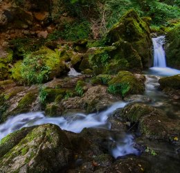 Туры в Пампорово 2025 - цены на путевки в Болгарию из Москвы от туроператора Tez Tour