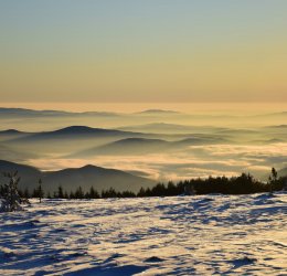Туры на Золотые Пески 2025 - цены на путевки в Болгарию из Москвы от туроператора Tez Tour Туры на Золотые Пески 2025 - цены на путевки в Болгарию из Москвы от туроператора Tez Tour