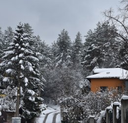 Туры в Кранево 2025 - цены на путевки в Болгарию из Москвы от туроператора Tez Tour