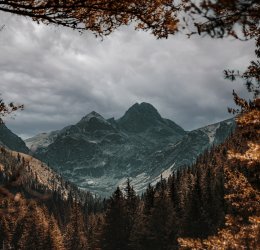 Туры в Кранево 2025 - цены на путевки в Болгарию из Москвы от туроператора Tez Tour