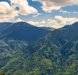 Туры на Солнечный Берег 2025 - цены на путевки в Болгарию из Москвы от туроператора Tez Tour