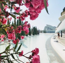 Туры в Валенсию 2025 - цены на путевки в Испанию из Москвы от туроператора Tez Tour