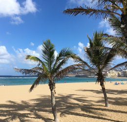 Туры на Канарские о-ва Гран Канария 2025 - цены на путевки в Испанию из Москвы от туроператора Tez Tour