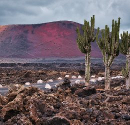 Туры на Канарские о-ва Лансароте 2025 - цены на путевки в Испанию из Москвы от туроператора Tez Tour