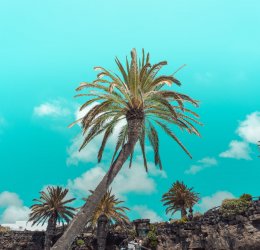 Туры на Канарские о-ва Лансароте 2025 - цены на путевки в Испанию из Москвы от туроператора Tez Tour