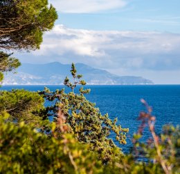 Туры в Коста Дель Азар 2025 - цены на путевки в Испанию из Москвы от туроператора Tez Tour