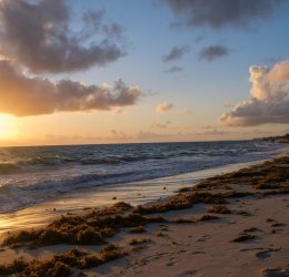 Туры в Доминикану 2025 из Москвы - цена на отдых от туроператора Tez Tour