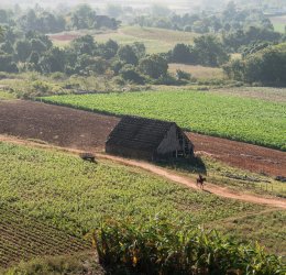 Туры на Кубу 2025 из Москвы - цена на отдых от туроператора Tez Tour