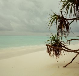 Туры на Мальдивы 2025 из Москвы - цена на отдых от туроператора Tez Tour