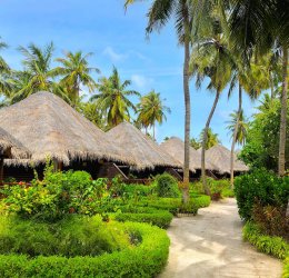 Туры на Мальдивы 2025 из Москвы - цена на отдых от туроператора Tez Tour