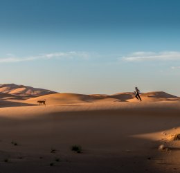 Туры в Марокко 2025 из Москвы - цена на отдых от туроператора Tez Tour