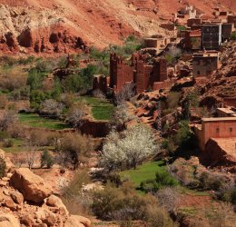 Туры в Марокко 2025 из Москвы - цена на отдых от туроператора Tez Tour