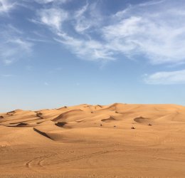 Туры в ОАЭ 2025 из Москвы - цена на отдых от туроператора Tez Tour