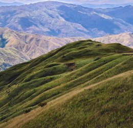 Туры в Венесуэлу 2025 из Москвы - цена на отдых от туроператора Tez Tour