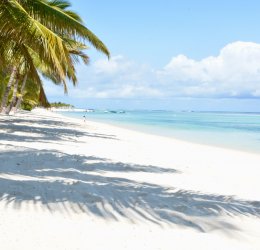 Туры на Маврикий 2025 из Москвы - цена на отдых от туроператора Tez Tour