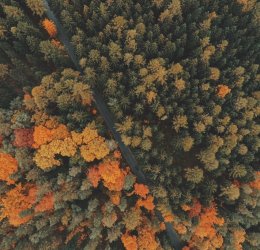 Туры в Чехию 2025 из Москвы - цена на отдых от туроператора Tez Tour