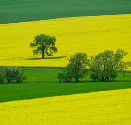 Туры в Чехию 2025 из Москвы - цена на отдых от туроператора Tez Tour