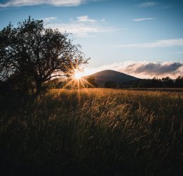 Туры в Чехию 2025 из Москвы - цена на отдых от туроператора Tez Tour