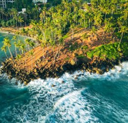 Туры в Шри-Ланку 2025 из Москвы - цена на отдых от туроператора Tez Tour Туры в Шри-Ланку 2025 из Москвы - цена на отдых от туроператора Tez Tour