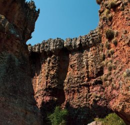 Туры в Бразилию 2025 из Москвы - цена на отдых от туроператора Tez Tour