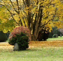Туры в Баден 2025 - цены на путевки в Австрию из Москвы от туроператора Tez Tour