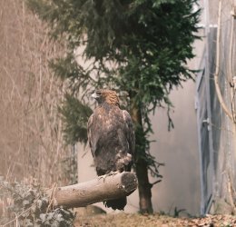 Туры Инсбруку 2025 - цены на путевки в Австрию из Москвы от туроператора Tez Tour