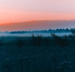 Туры в Витебск 2025 - цены на путевки в Беларусь из Москвы от туроператора Tez Tour