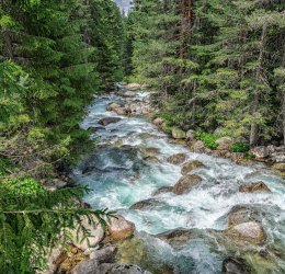 Туры в Банско 2025 - цены на путевки в Болгарию из Москвы от туроператора Tez Tour Туры в Банско 2025 - цены на путевки в Болгарию из Москвы от туроператора Tez Tour