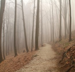 Туры в Св. Константин и Елену 2025 - цены на путевки в Болгарию из Москвы от туроператора Tez Tour Туры в Св. Константин и Елену 2025 - цены на путевки в Болгарию из Москвы от туроператора Tez Tour