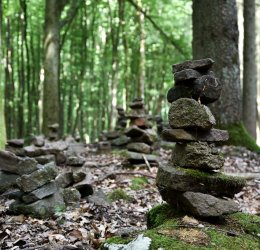 Туры в Солнечный День 2025 - цены на путевки в Болгарию из Москвы от туроператора Tez Tour