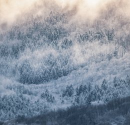 Туры в Софию 2025 - цены на путевки в Болгарию из Москвы от туроператора Tez Tour Туры в Софию 2025 - цены на путевки в Болгарию из Москвы от туроператора Tez Tour