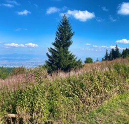 Туры в Софию 2025 - цены на путевки в Болгарию из Москвы от туроператора Tez Tour Туры в Софию 2025 - цены на путевки в Болгарию из Москвы от туроператора Tez Tour