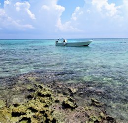 Туры в Ривьеру 2025 - цены на путевки в Болгарию из Москвы от туроператора Tez Tour