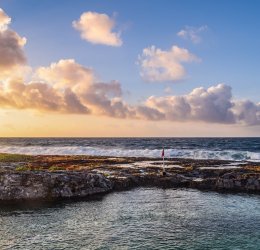 Туры в Ривьеру 2025 - цены на путевки в Болгарию из Москвы от туроператора Tez Tour