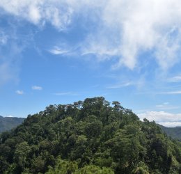 Туры в Рио де Жанейро 2025 - цены на путевки в Бразилию из Москвы от туроператора Tez Tour Туры в Рио де Жанейро 2025 - цены на путевки в Бразилию из Москвы от туроператора Tez Tour